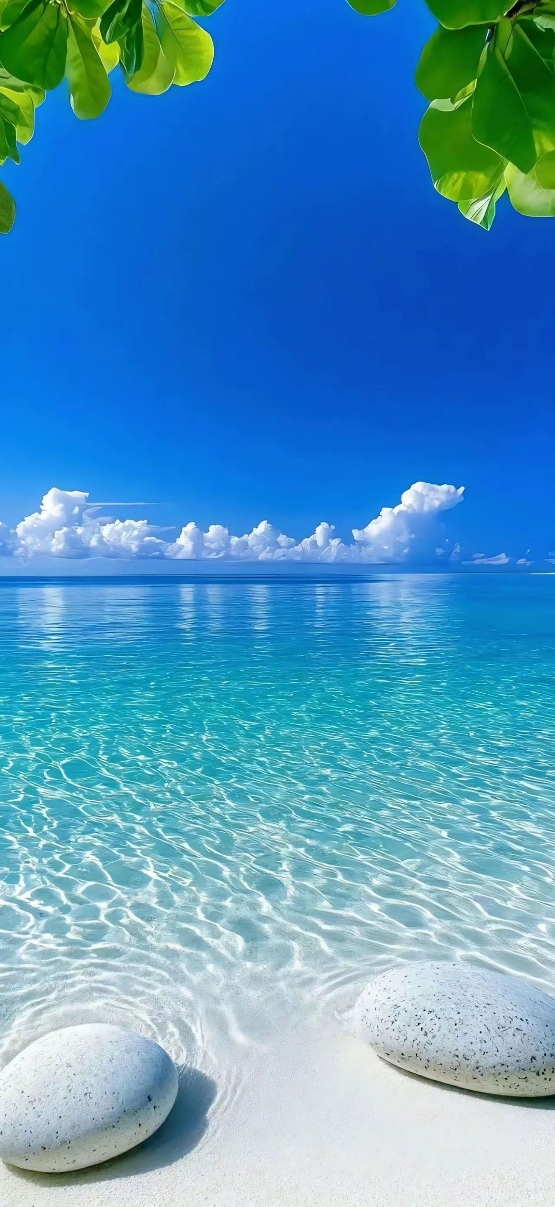 手机壁纸～蔚蓝的大海,这海景美得.@霁枫壁纸的动态