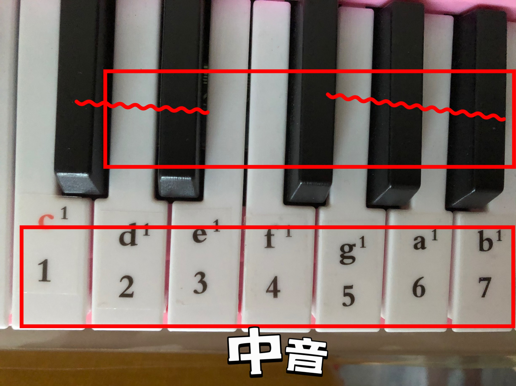 电子琴0基础入门,首先,先认键盘.