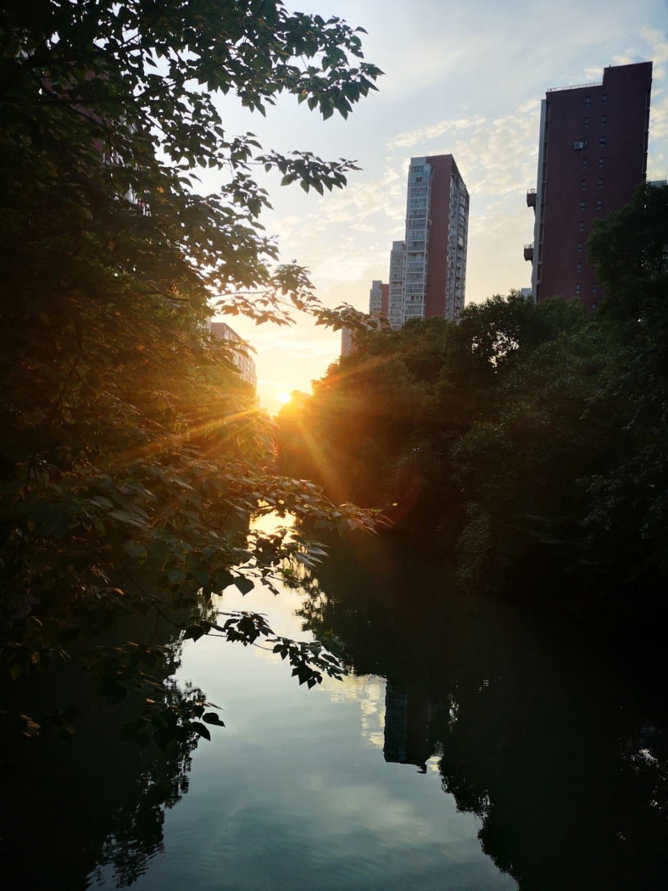 松江区九里亭街道绿庭尚城风景