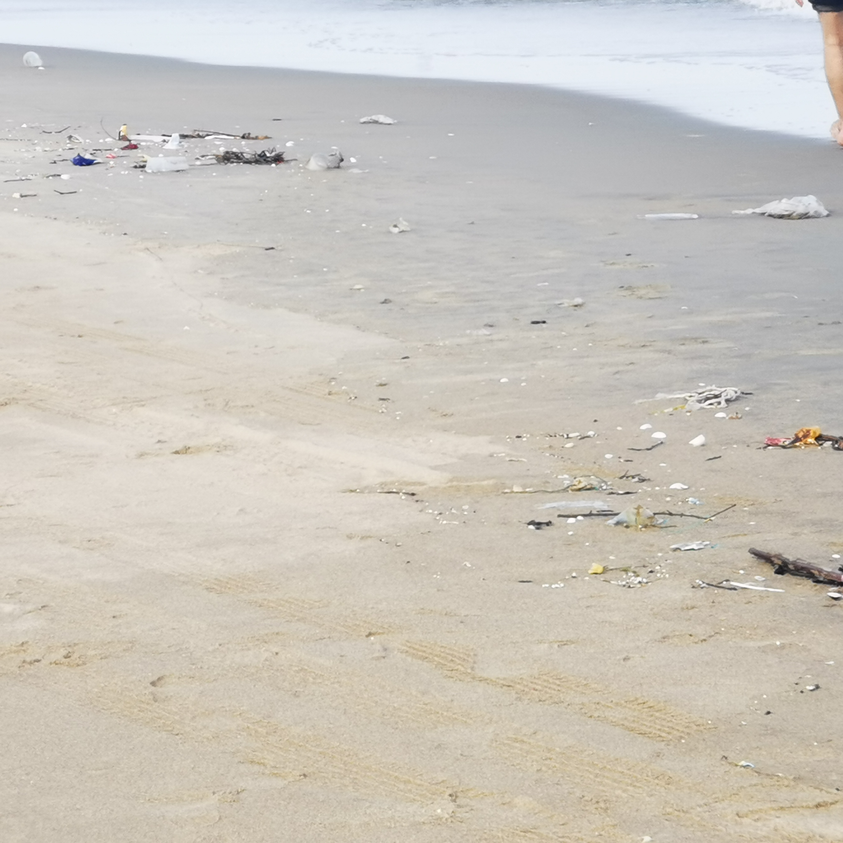了湛江的南三岛风景区,抱着欣赏风景的心情,兴致勃勃的到了海边沙滩