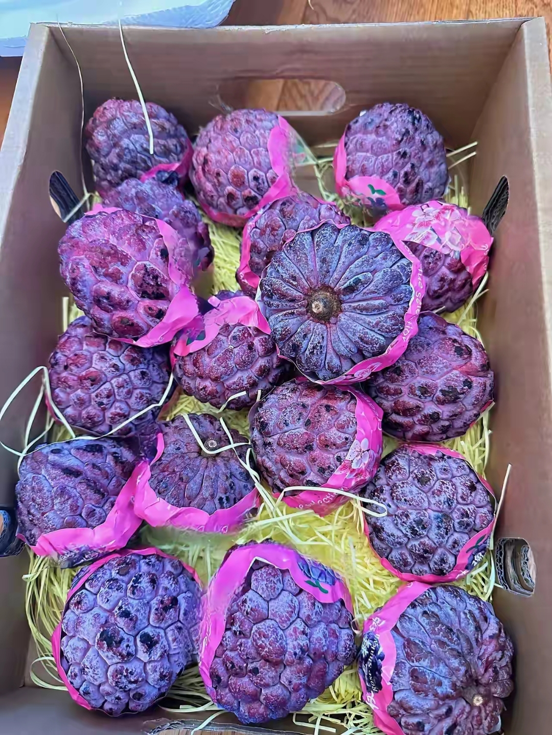 这个果子看起来好奇怪呀,怎么会是这种紫色的果子,而且感觉还在发光
