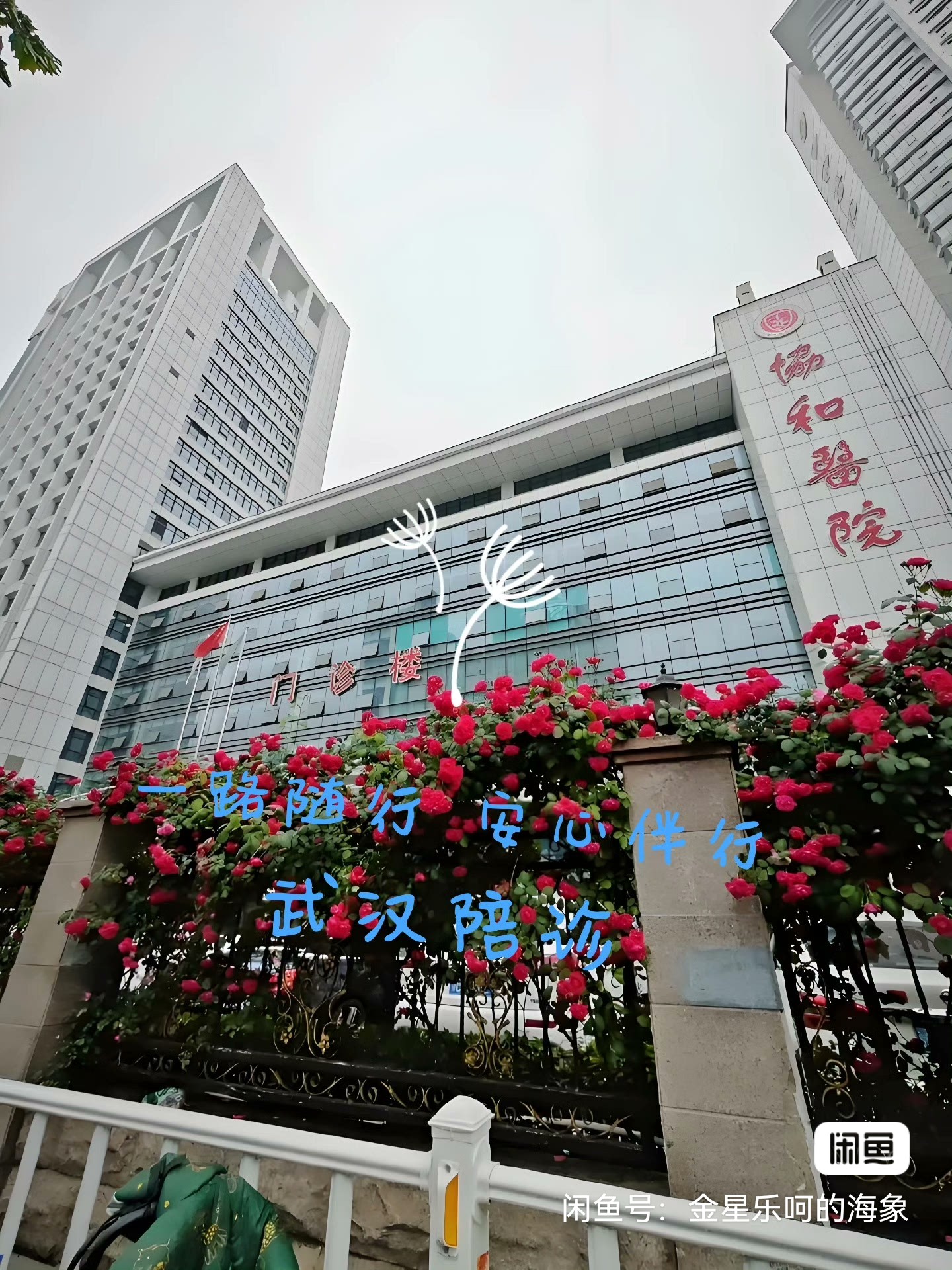 包含望京医院代问诊加陪诊挂号各项检查有序安排，不慌不乱的词条