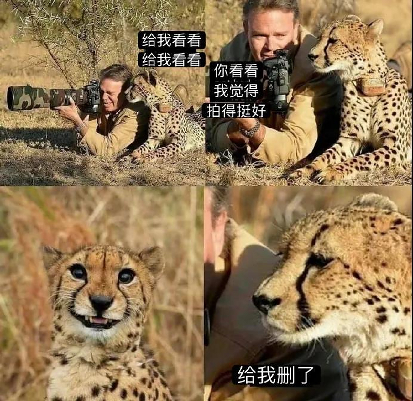 趣图搞笑# 当你给你女朋友拍照片的时候.