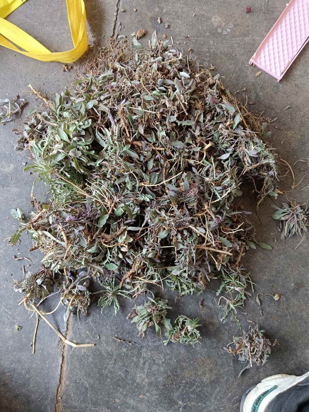 3·15报告出那么多超标,劣质产品,我们人类真是心惊