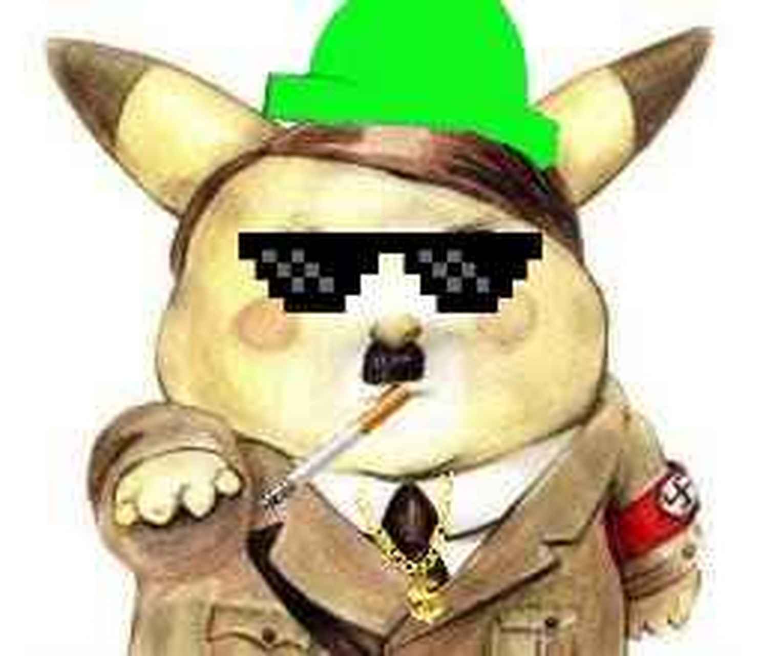 元首,变成了皮卡丘.