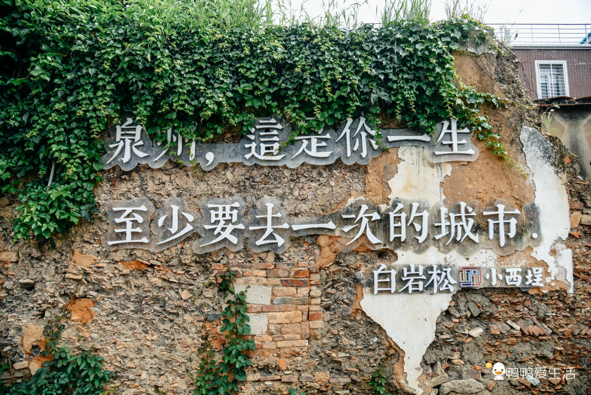 泉州必打卡:小西埕 泉州,你一辈子要去一次的城市 白岩松的这句话带火