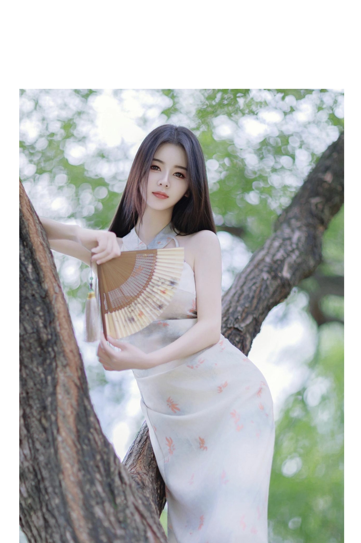 树上的女孩,清新脱俗,手持扇子,静静地等待着夏日的风.
