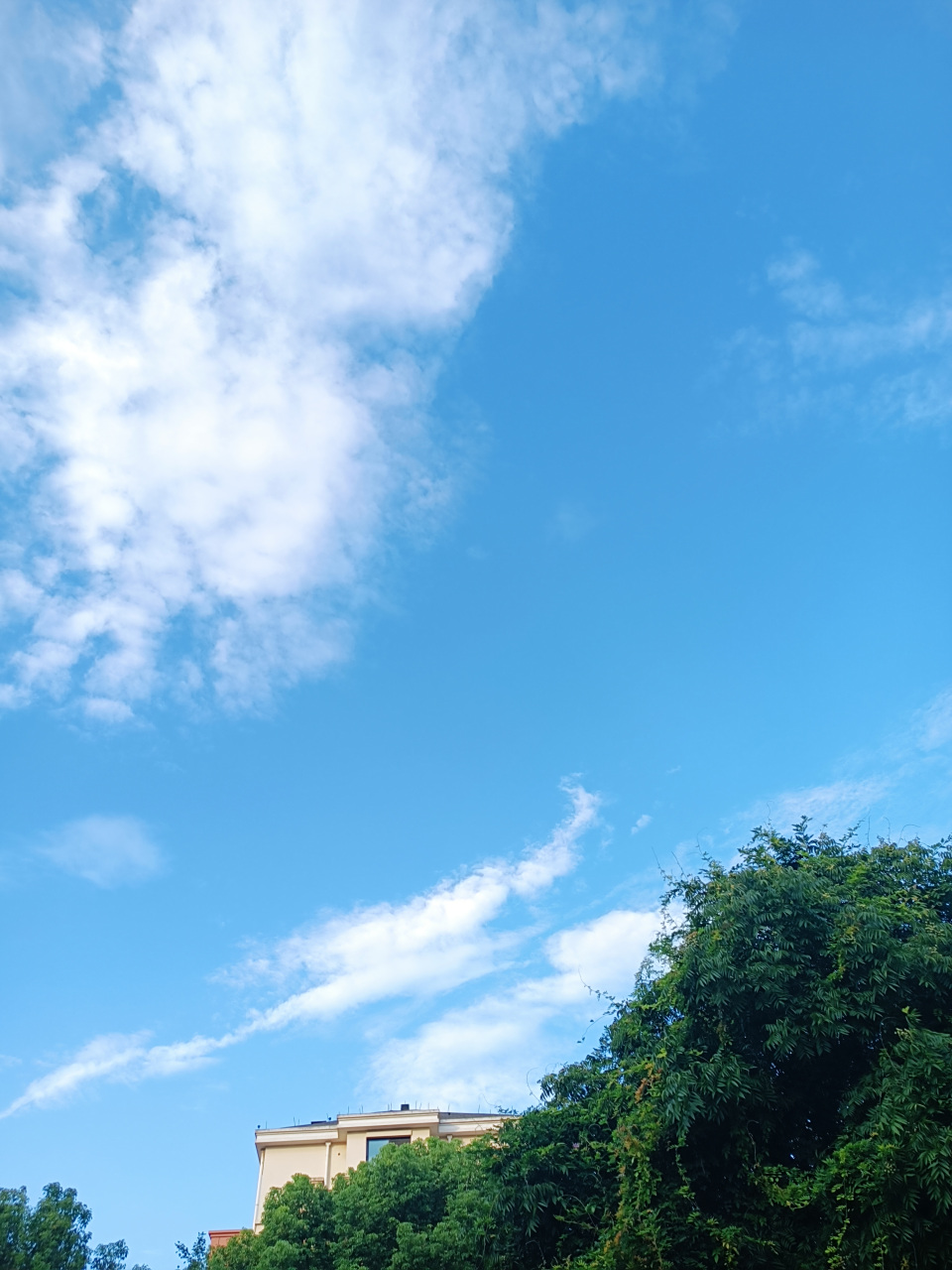 七月的天空,瓦蓝澄澈.蓝天白云,自由自在.