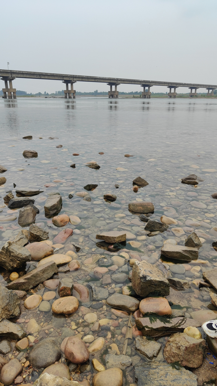 开封黄河湿地公园图片