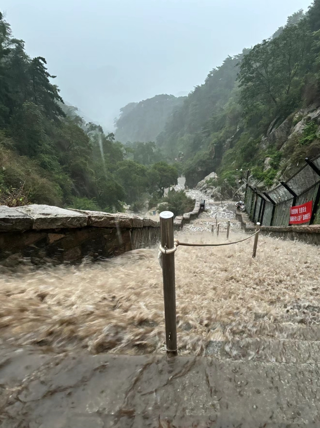 泰山缆车坠落事件图片