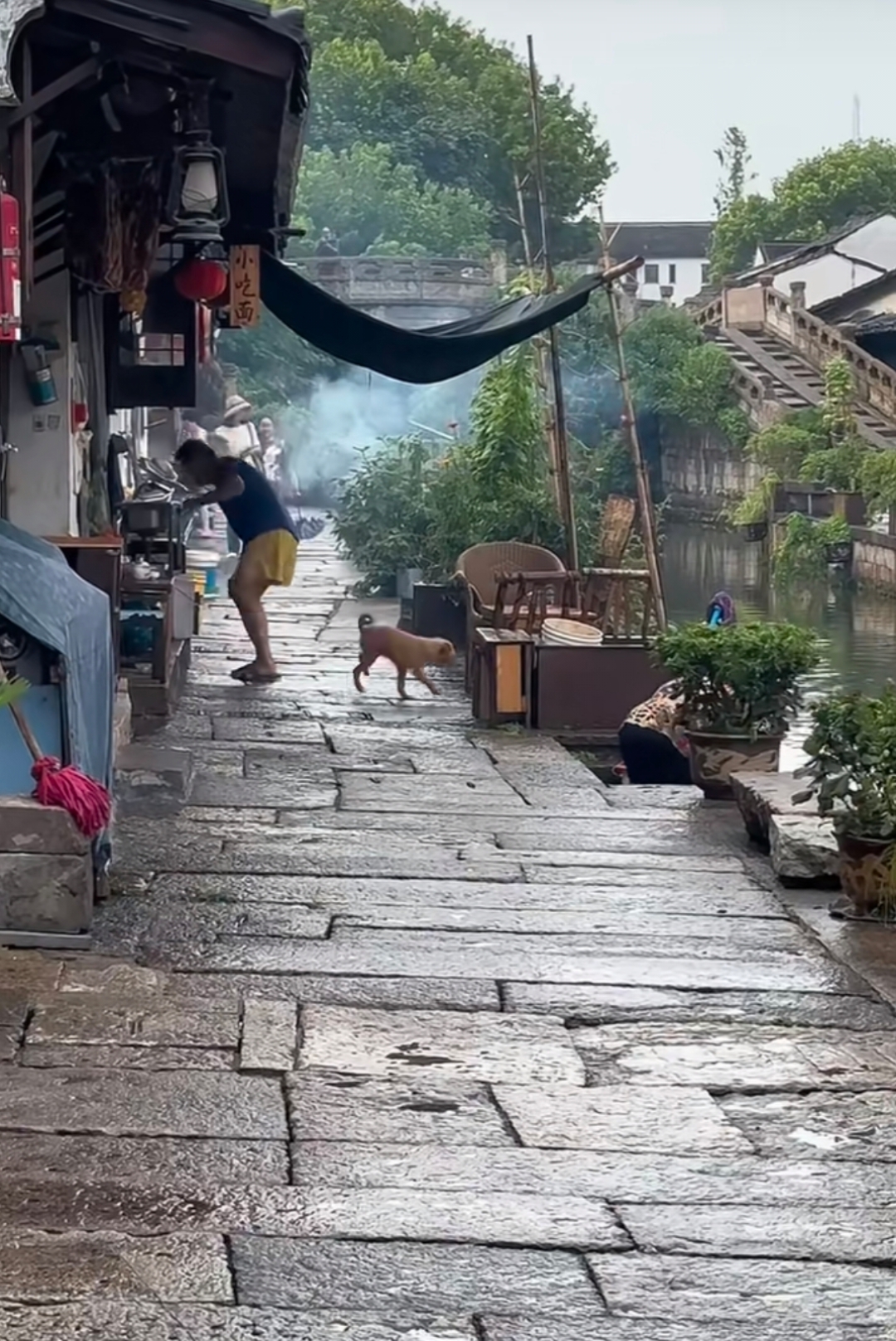 青石板上的江南雨图片图片