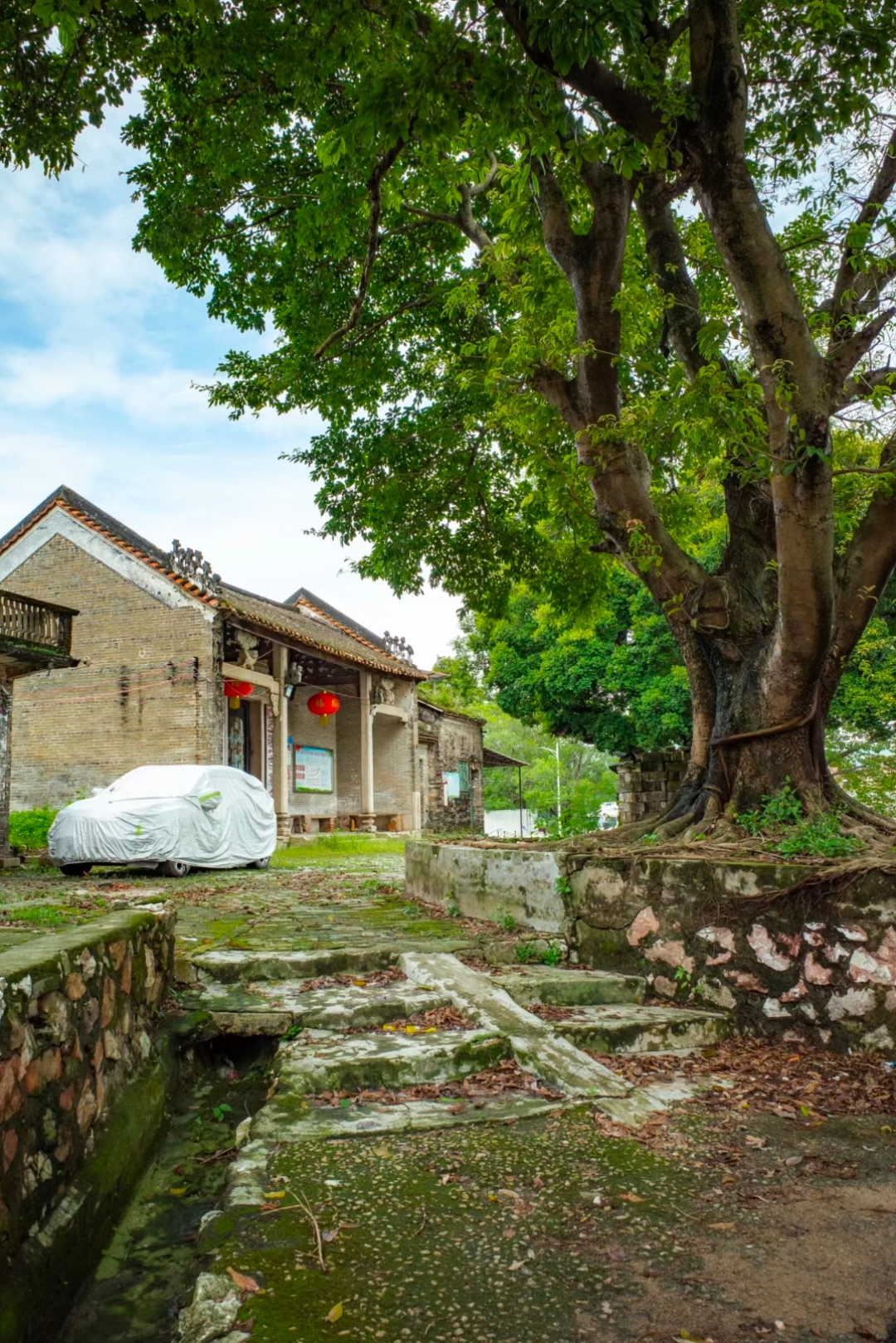 广州有很多莲塘村,而花都赤坭镇的莲塘村是规模最大的一个.