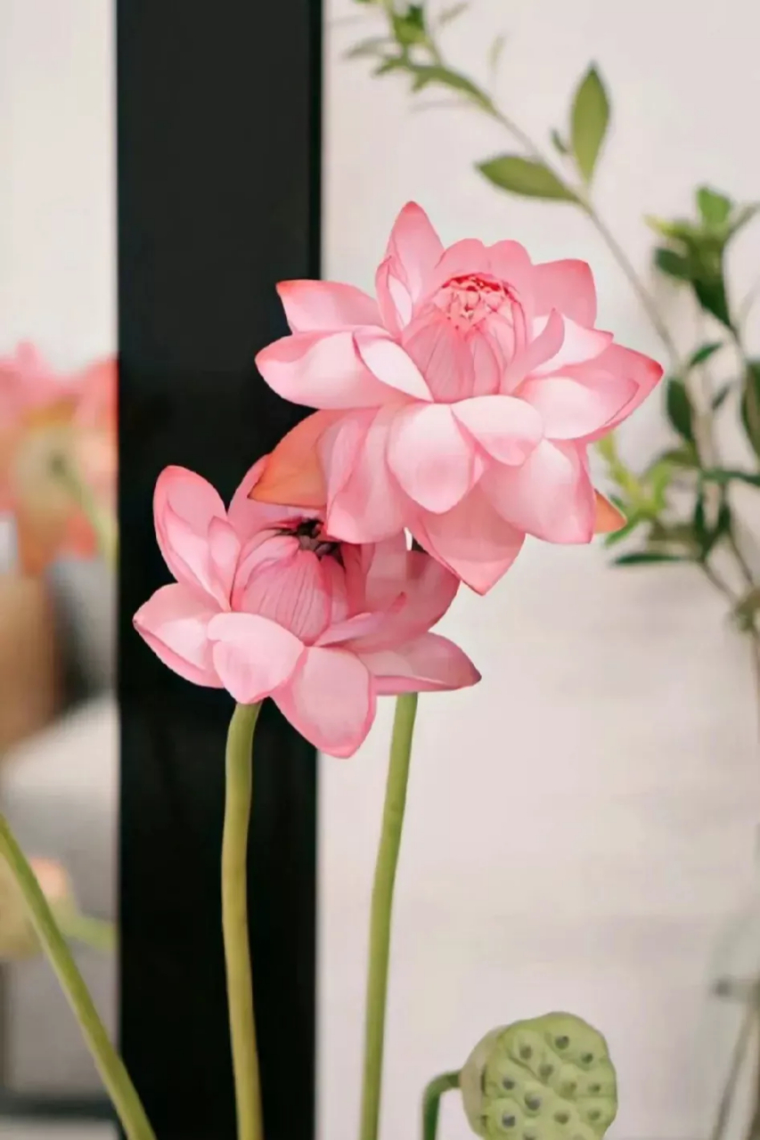 你能承受多少苦,就能享受多少福,苦尽甘来是因果.