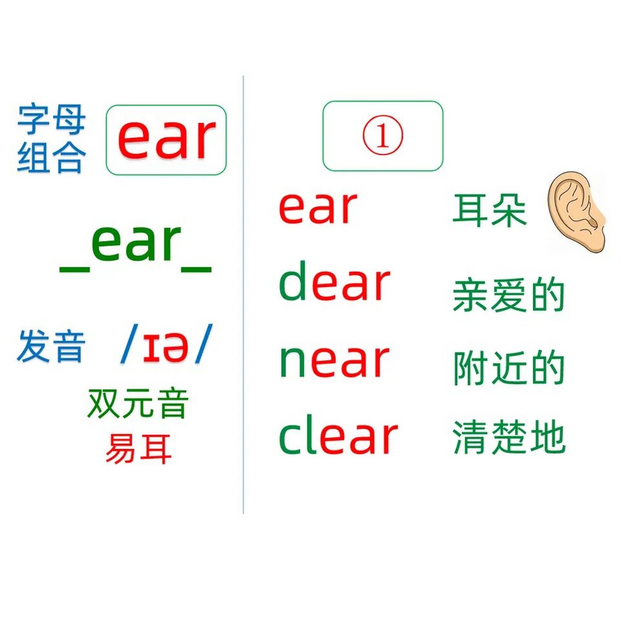 英语自然拼读法30讲:字母组合"ear"有3种常见的发音.