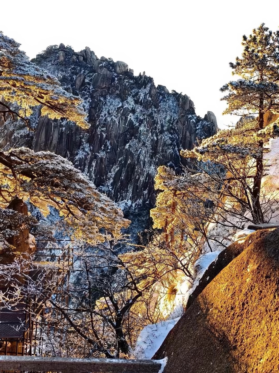 黄山春日音乐嘉年华#黄山,中华十大名山之一,天下第一奇山.