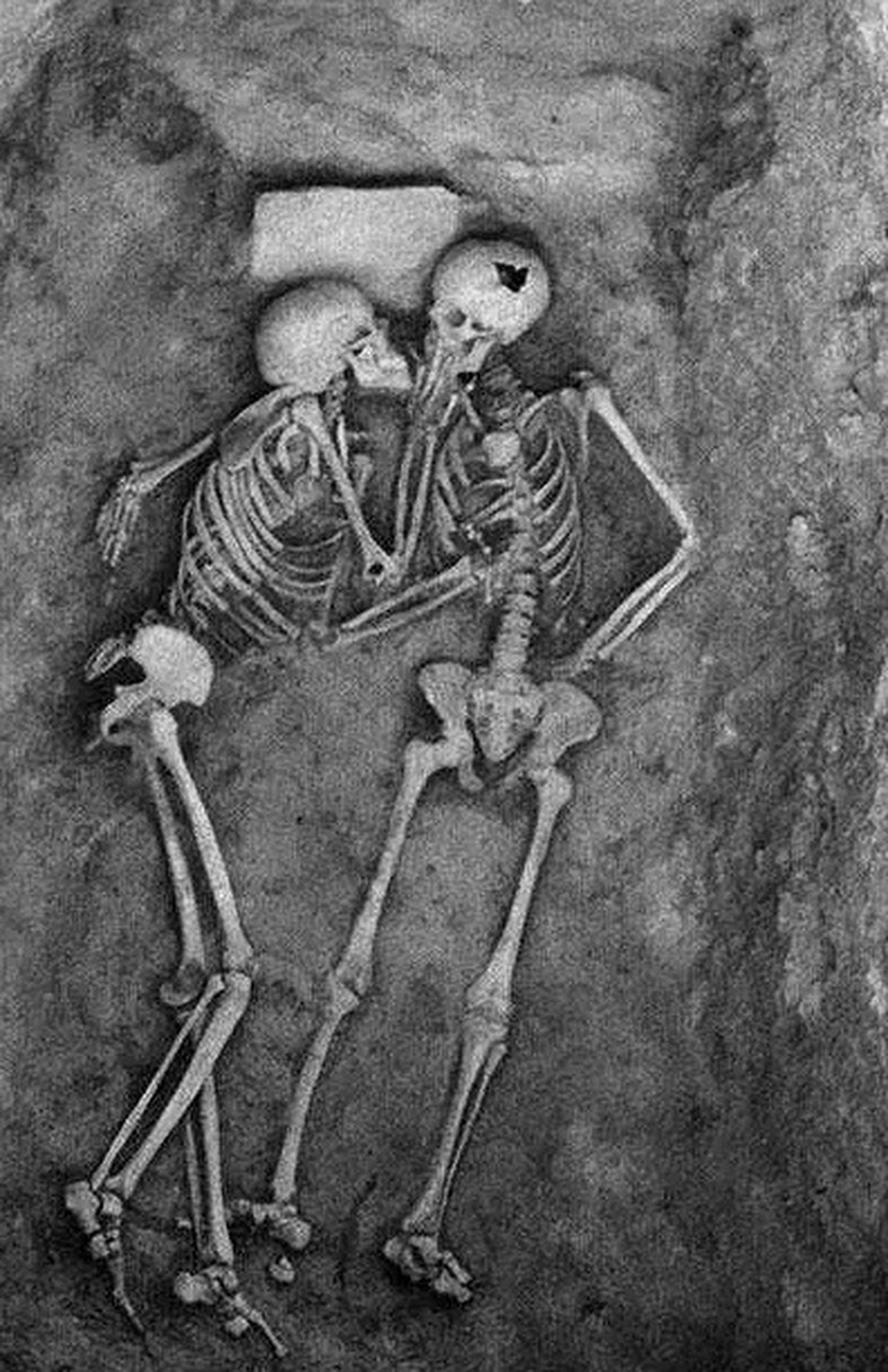 "哈桑鲁情人"于公元前800年左右去世,并于1972年被发现.