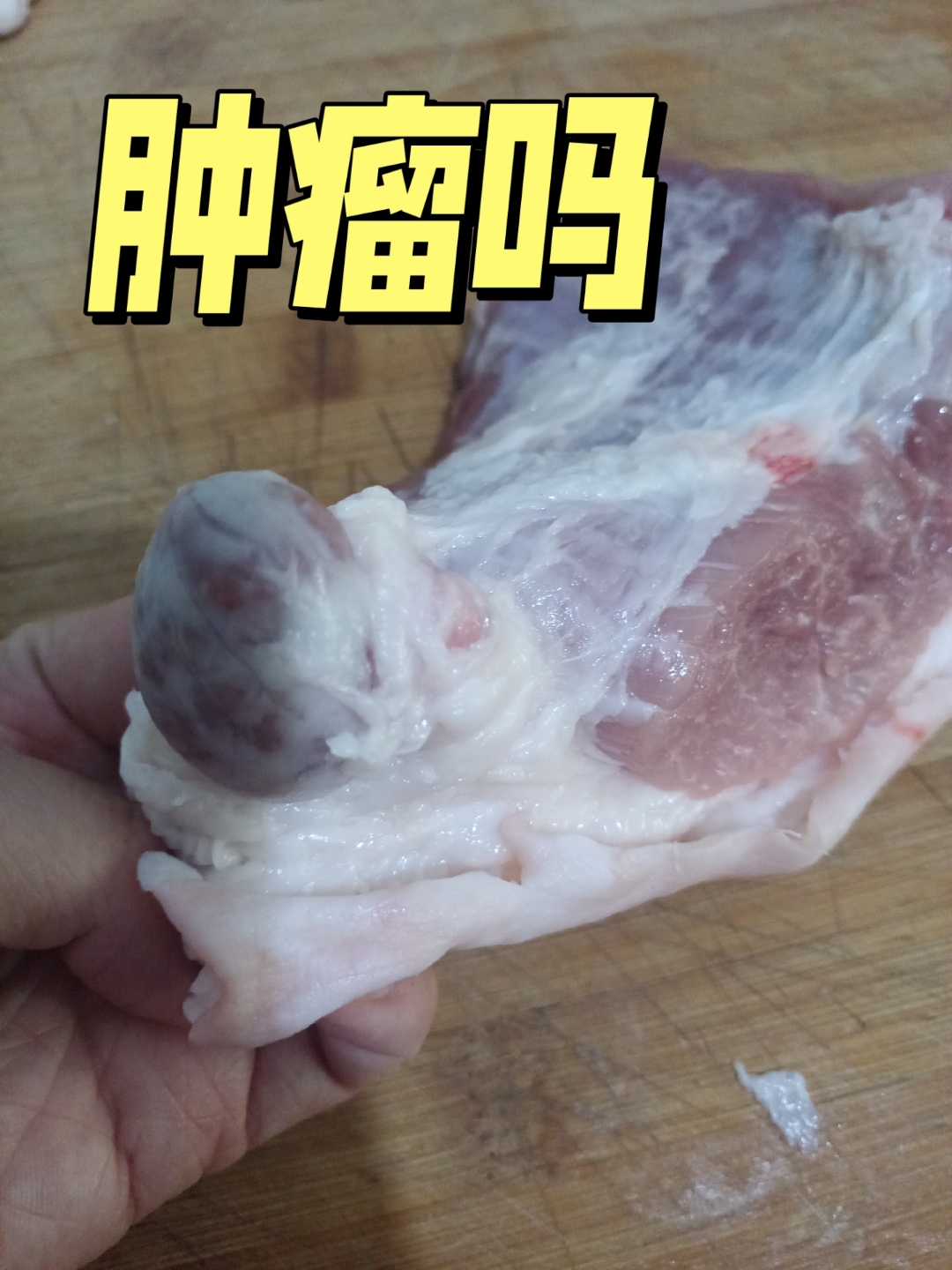 猪肉肿瘤的类型图片图片