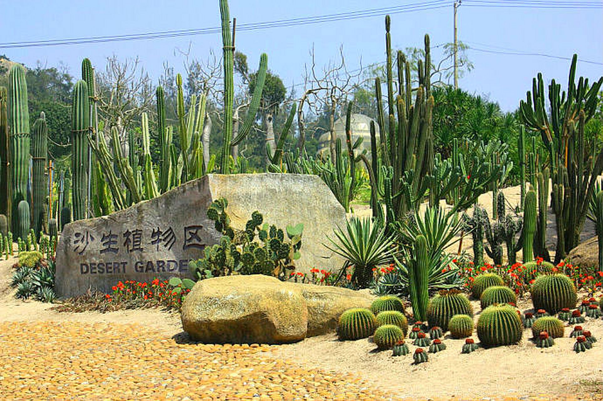 万石植物园太美了,园子有20多个专类园和种植区,是一个拍摄的绝佳