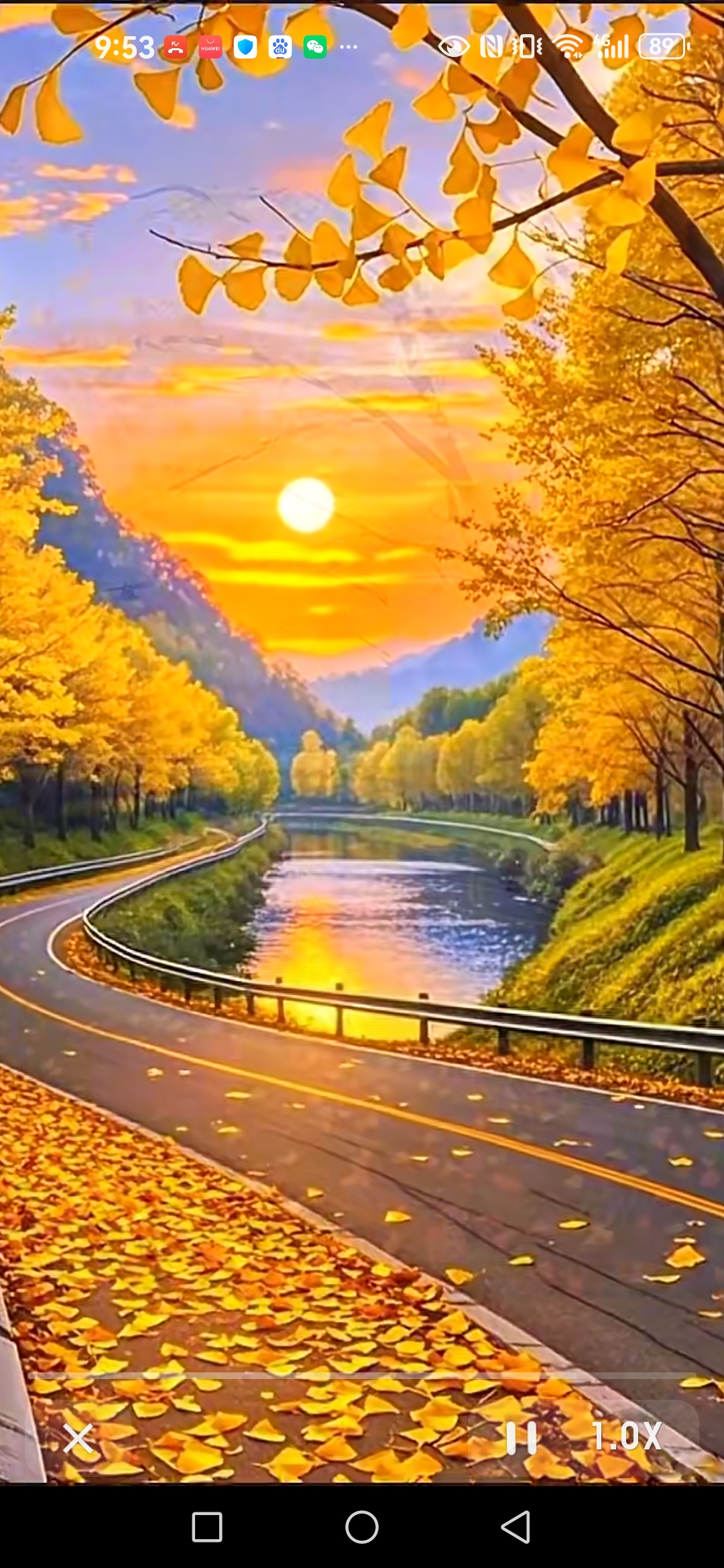 在这个秋天,让我们一同迎接好运