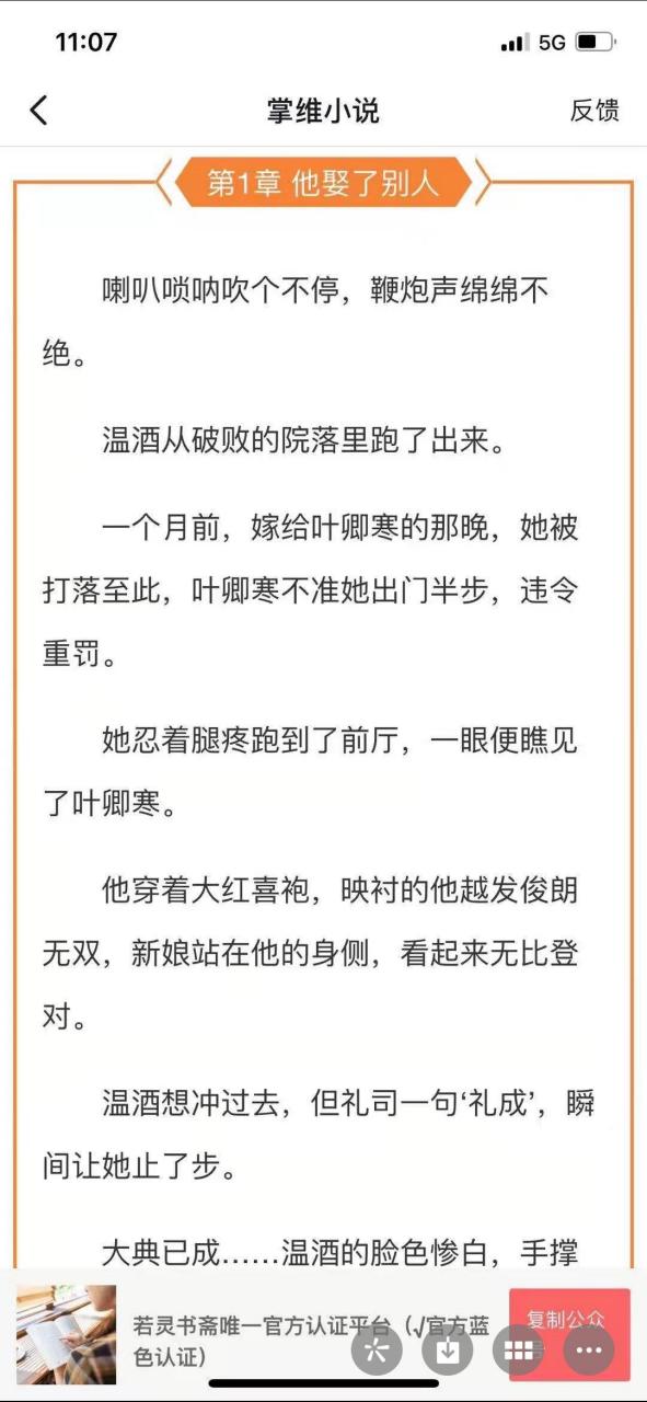 抖音小说《温酒叶卿寒》又名《他娶了别人/温酒叶卿寒》全文在线阅读
