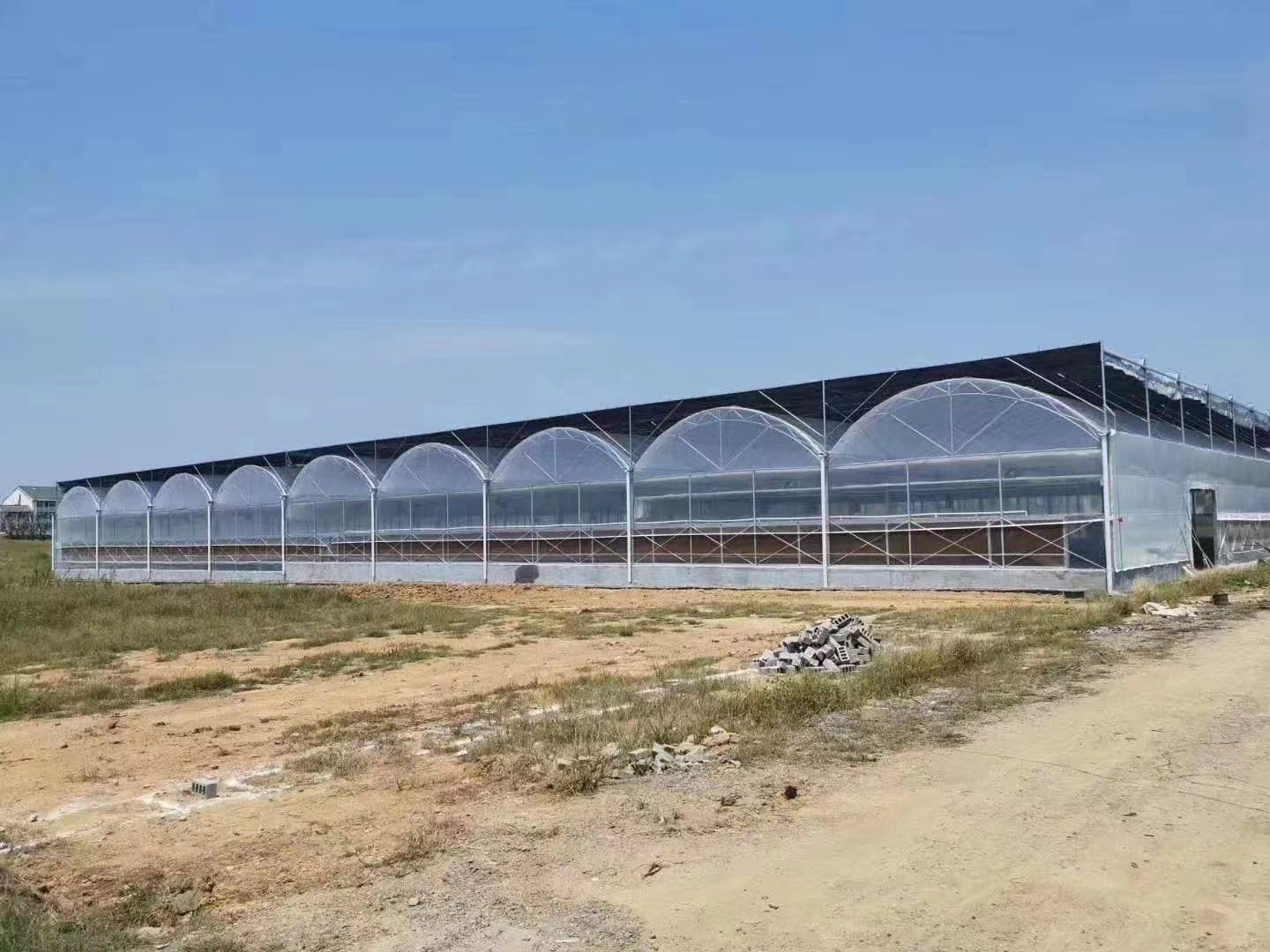 现代农业中的连栋温室工程：开启高效农业新篇章
