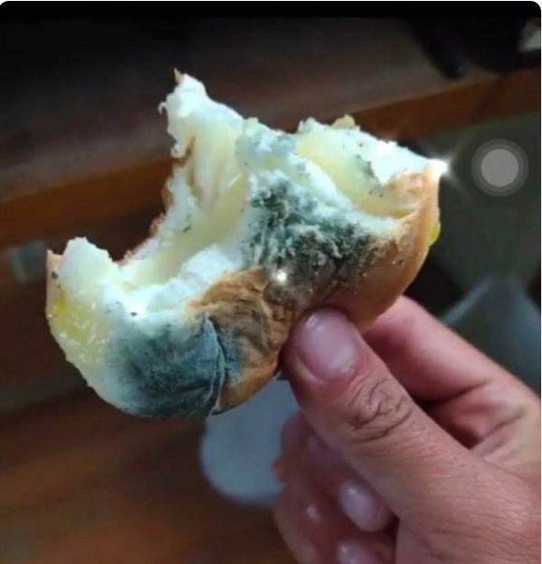 哎呀,我居然吃了一半发霉的面包才察觉,这难道是味蕾的一次独特冒险?