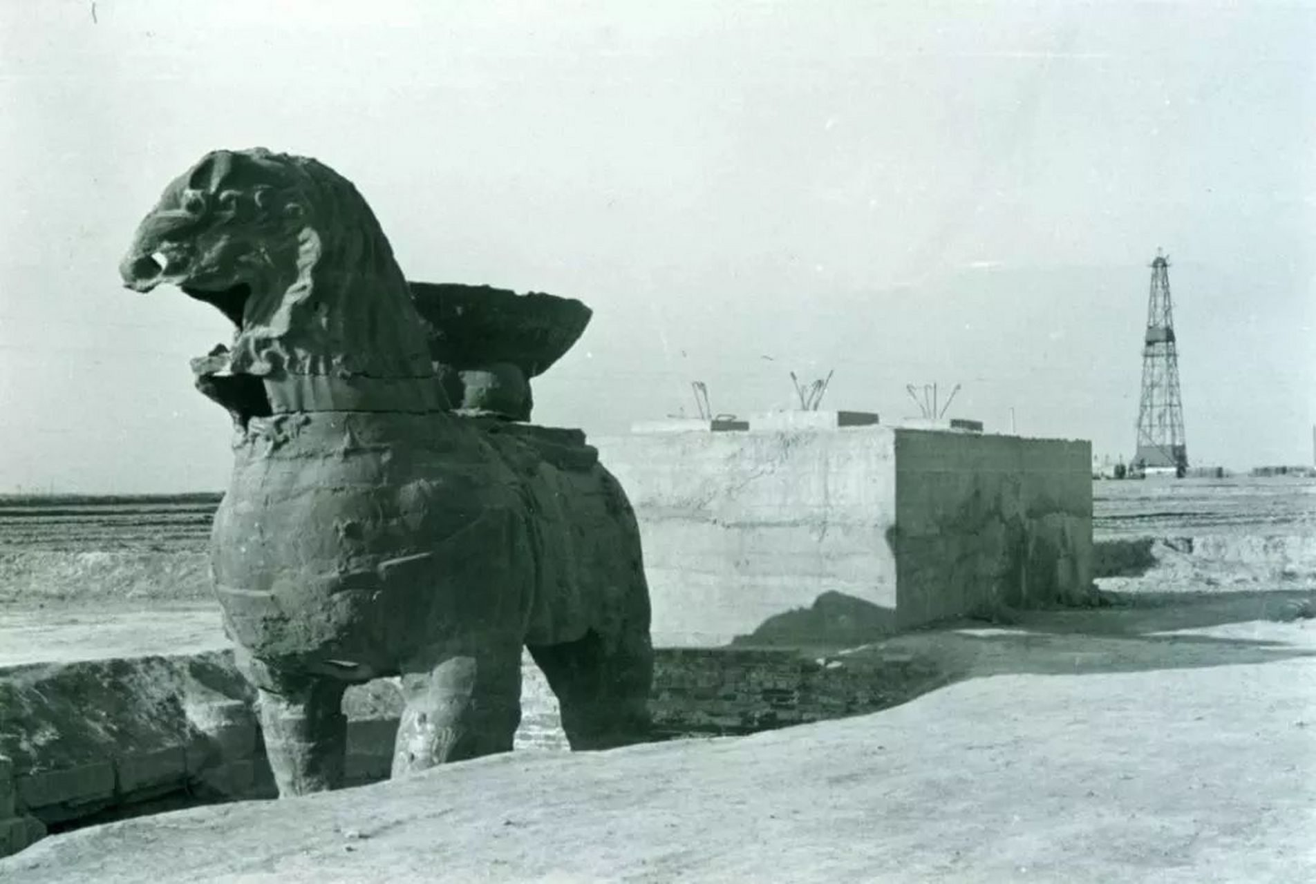 沧州大铁狮42度1963图片