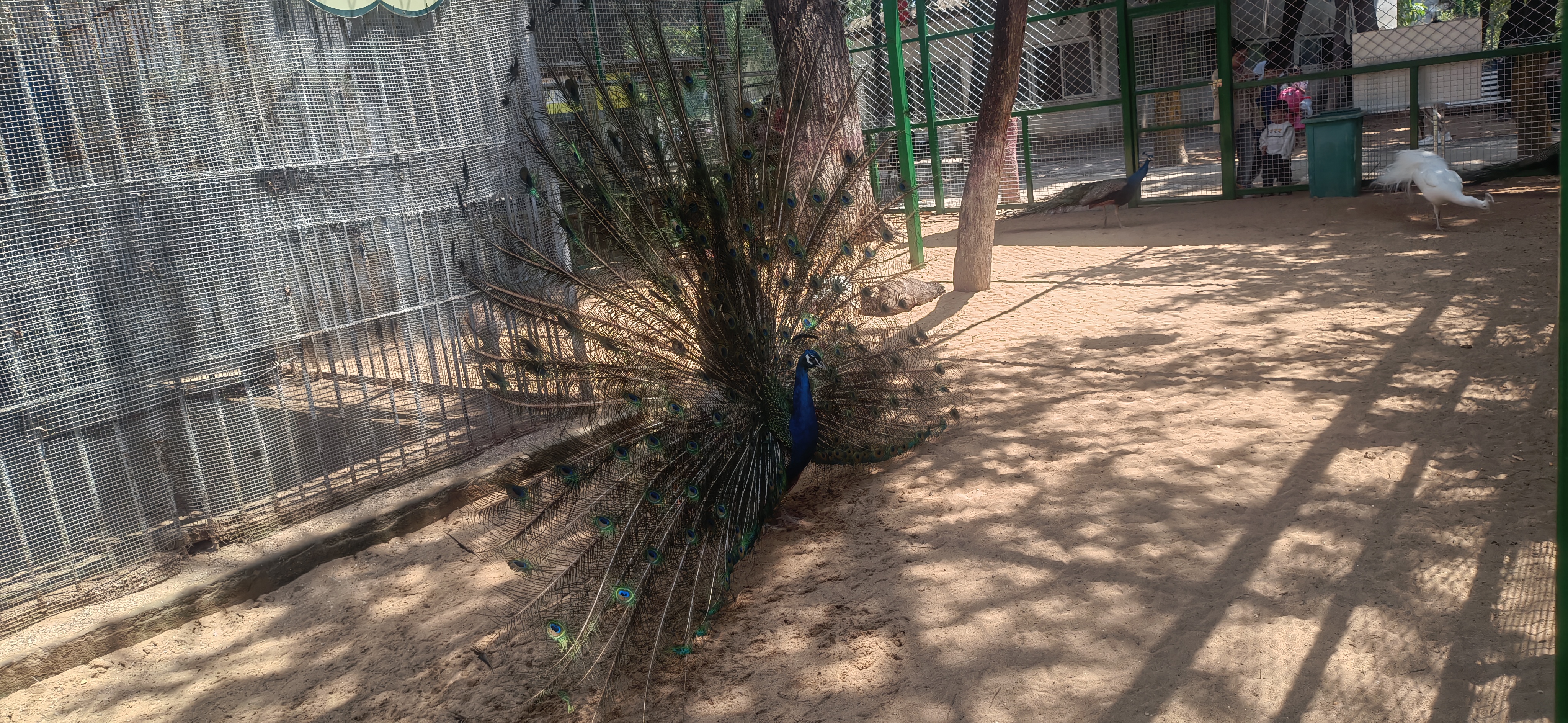 上也不方便,没有选择出远门,便征求了孩子们的意见,要去动物园看动物