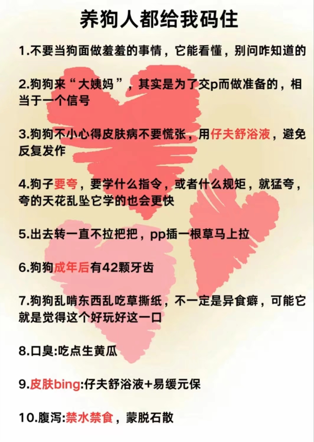 自愿当狗的规矩10条