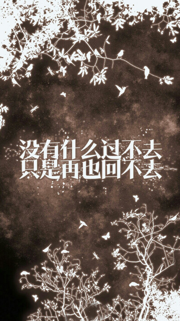 只是再也回不去 与其追寻过去 不如向前走去  遇见的人来来去去 总有