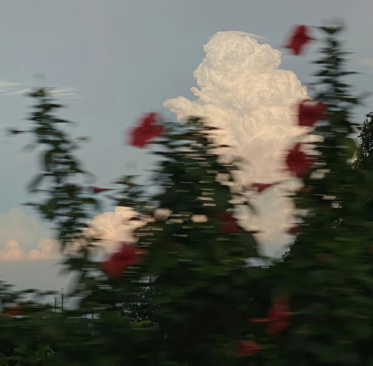 我拍的照片真的太好看了吧!呜呜05