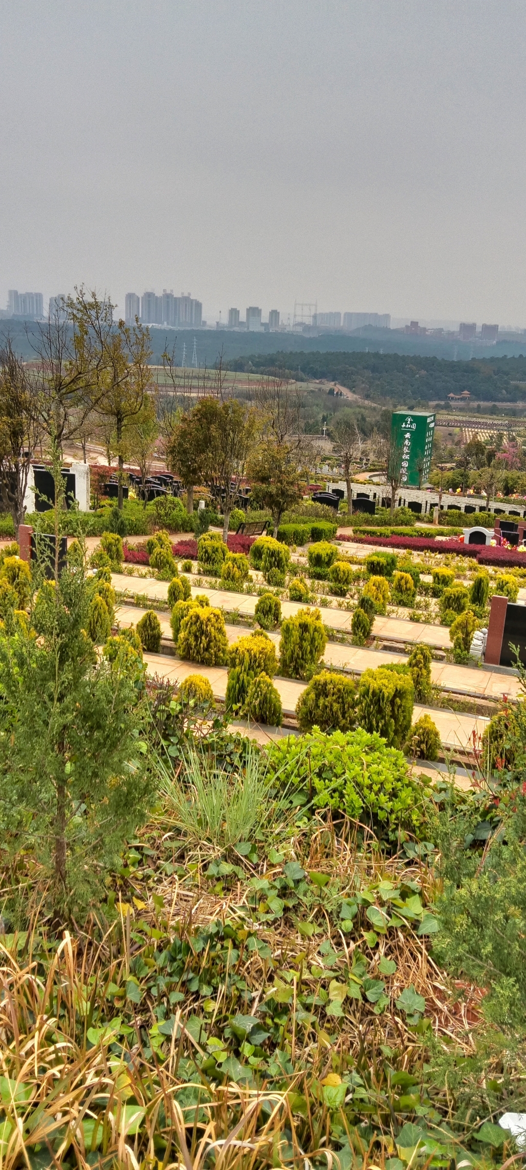 看似悲伤的确心情复杂,清明节就是祭祖扫墓的节日,国