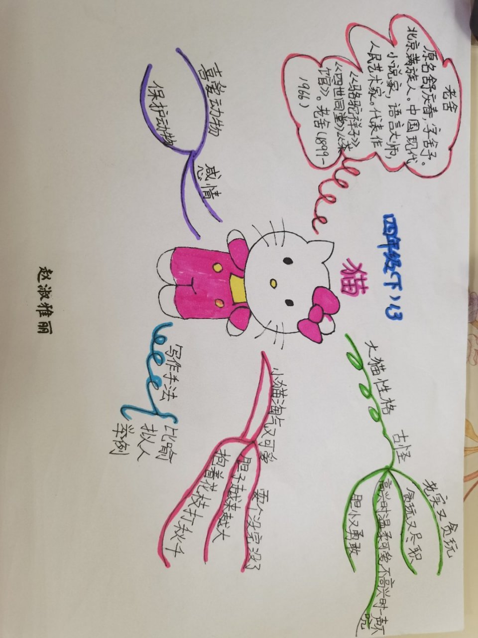 四年级下册13课《猫》思维导图