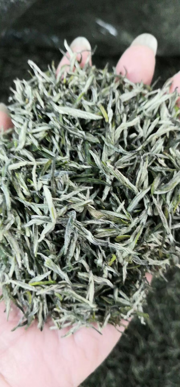 龙杰福商贸有限公司董事长周正龙先生,毕业于湖南商学院,爱好茶叶的