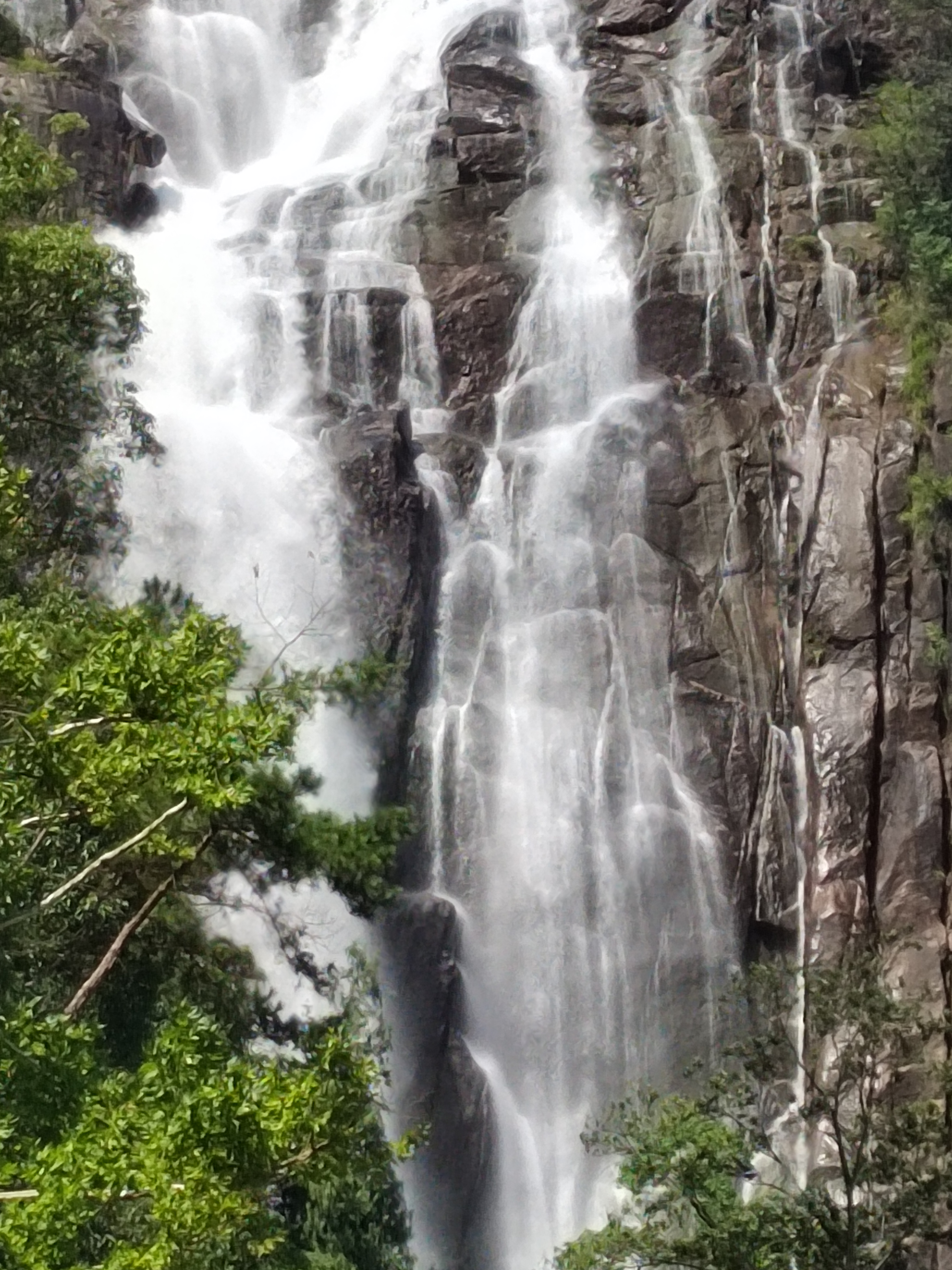 仙乐旅游_仙乐旅游团电话号码