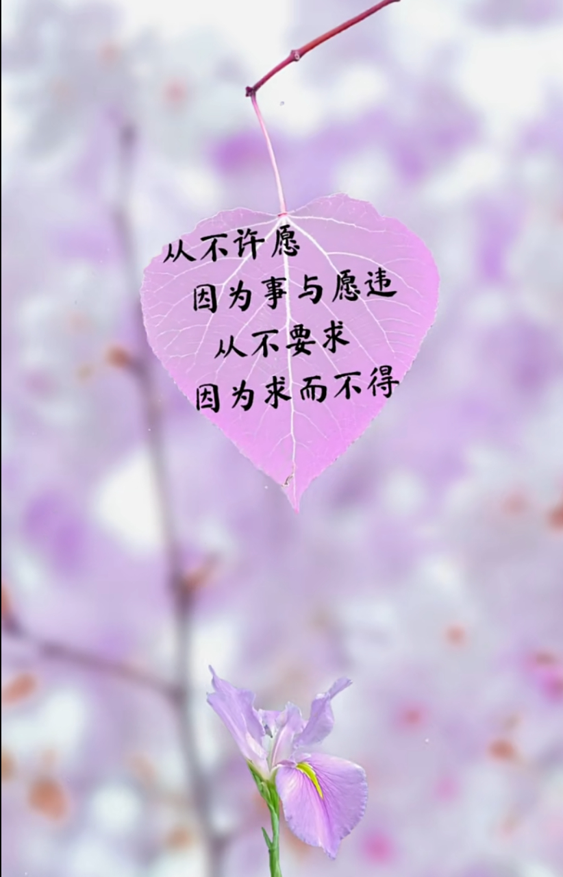 从不许愿,因为事与愿违,从不要求,因为求而不得! #情感