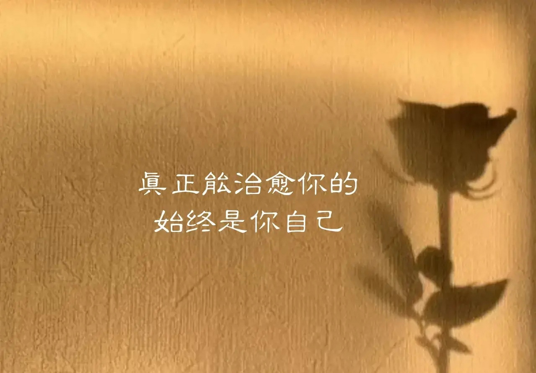 让人成熟的不是岁月, 而是经历, 人生若完美无缺, 人的光华无从体现