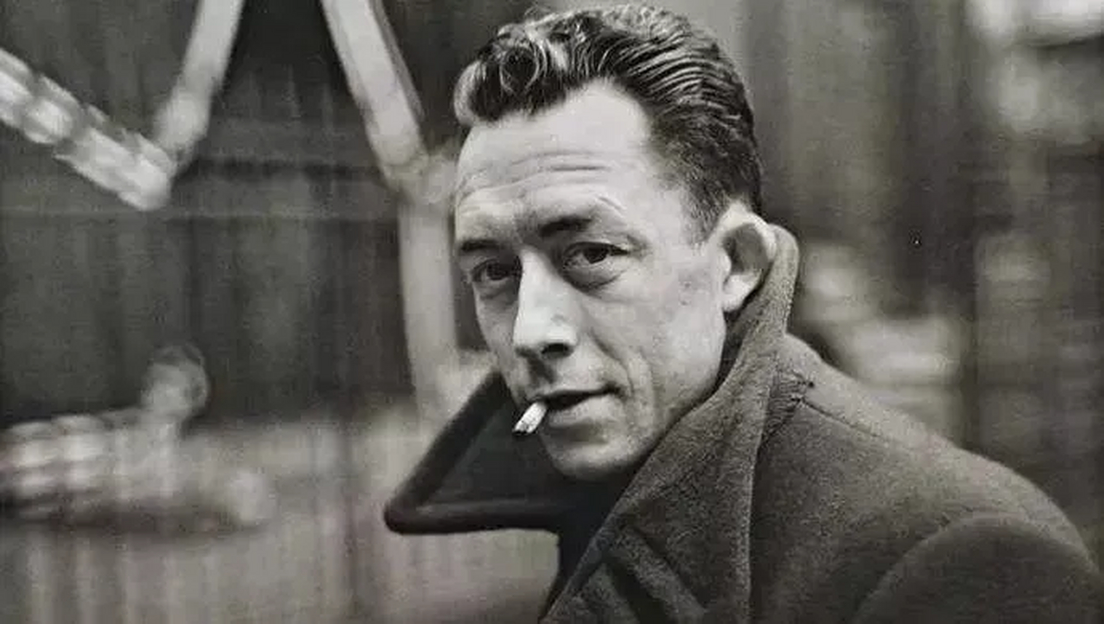 加缪名言之一:不要走在我后面,因为我可能不会引路;不要走在我前面