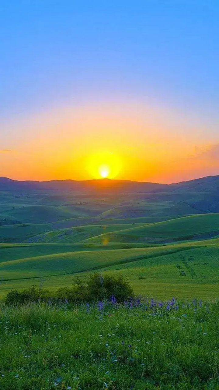 今天,天气很好 清晨,东方升起了太阳 艳阳高照 和煦的夏风习习 凉爽的