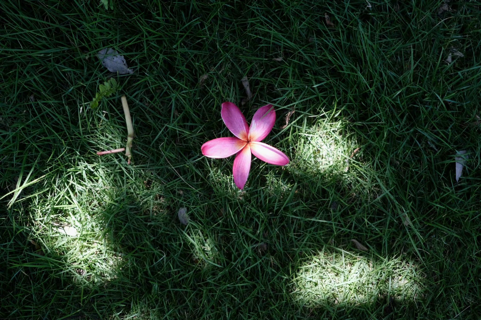 接纳自己, 不只是包括那些光明的部分, 还有那些难言的,羞于启齿的