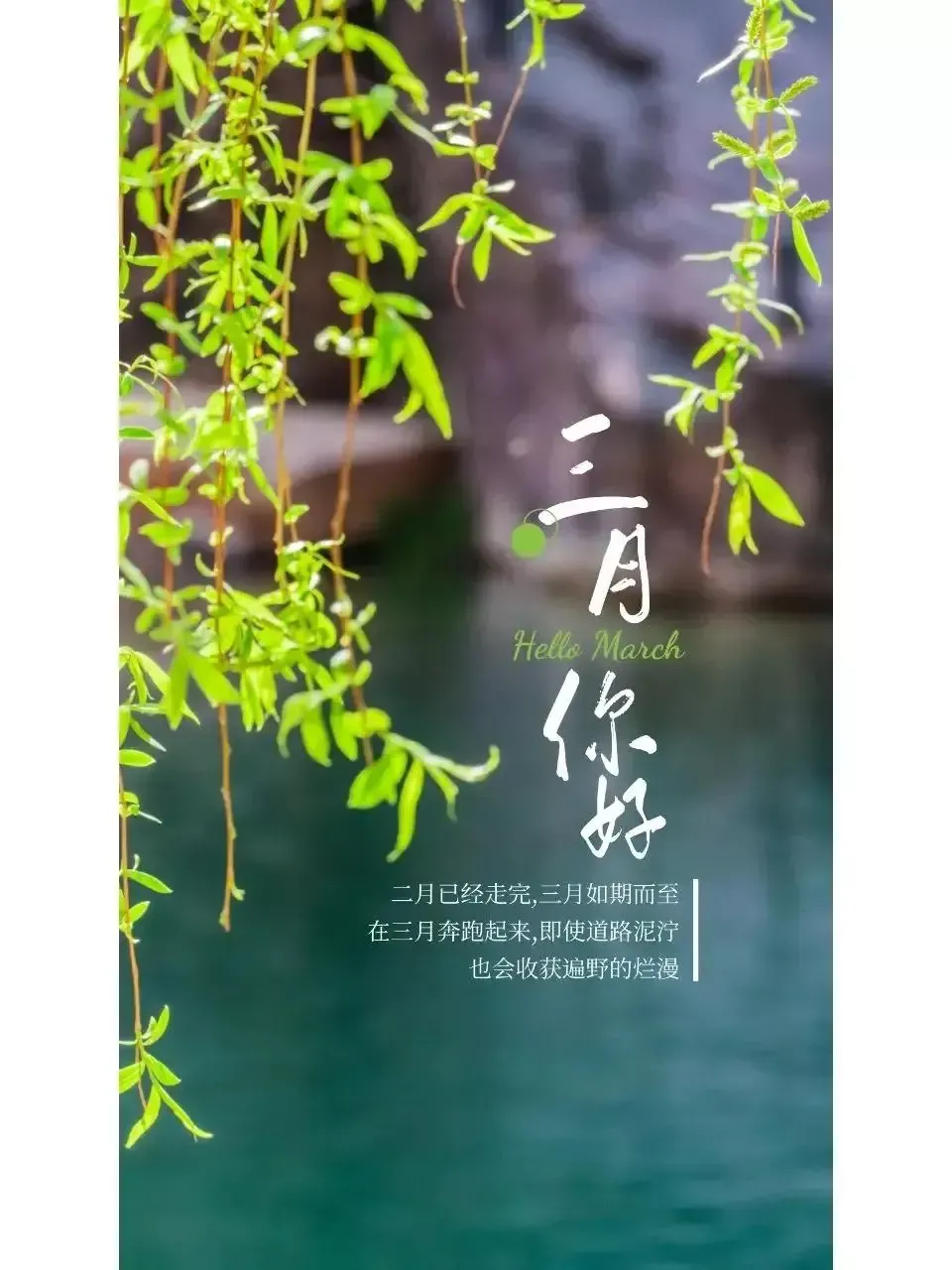 阳春三月,许你一场春暖花开,愿三月的春风细雨,洗刷掉这个世界的所有