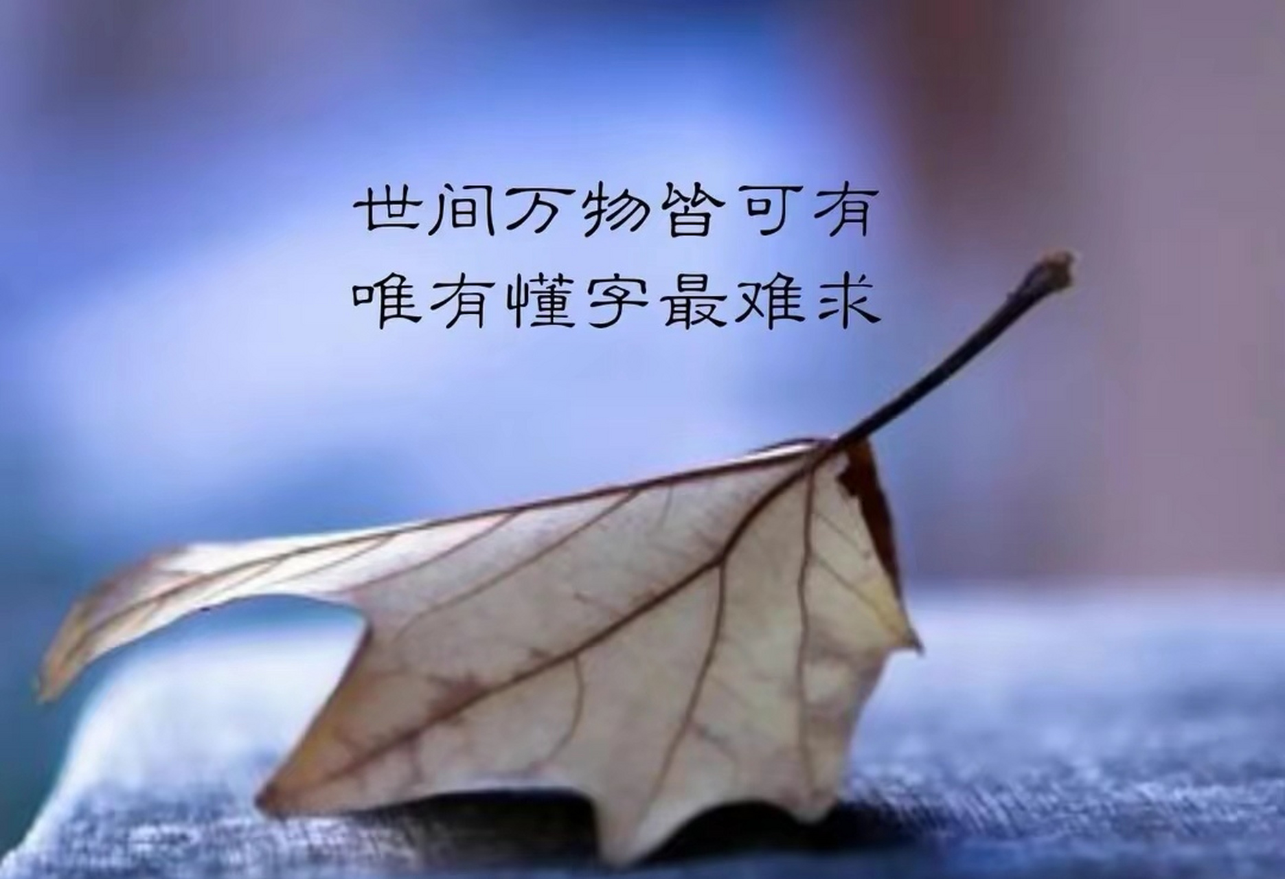 觉得遗憾吗,我们南辕北辙.
