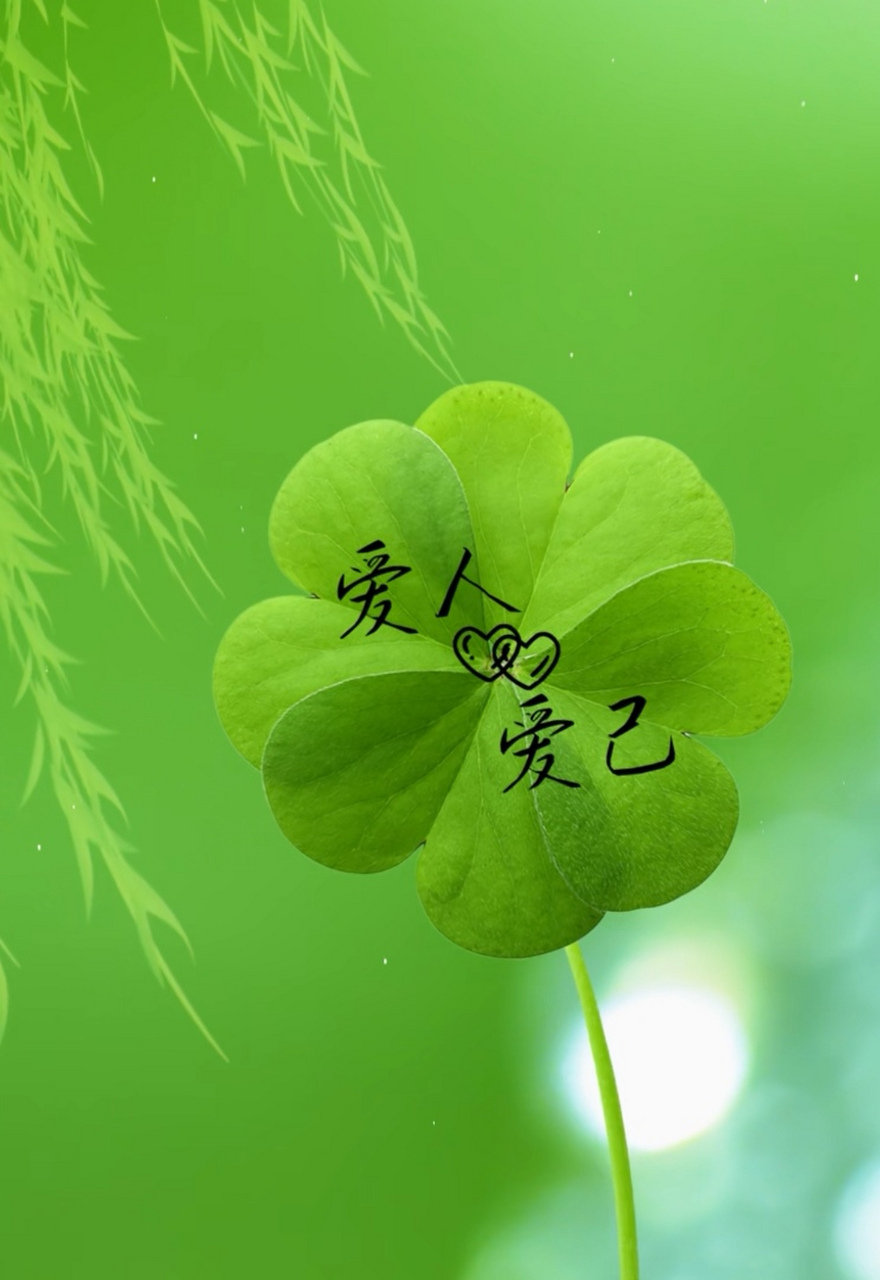 愿你眼里有光,心中有爱,人间最美四月天,我们都要浅浅喜,轻轻爱,稳稳