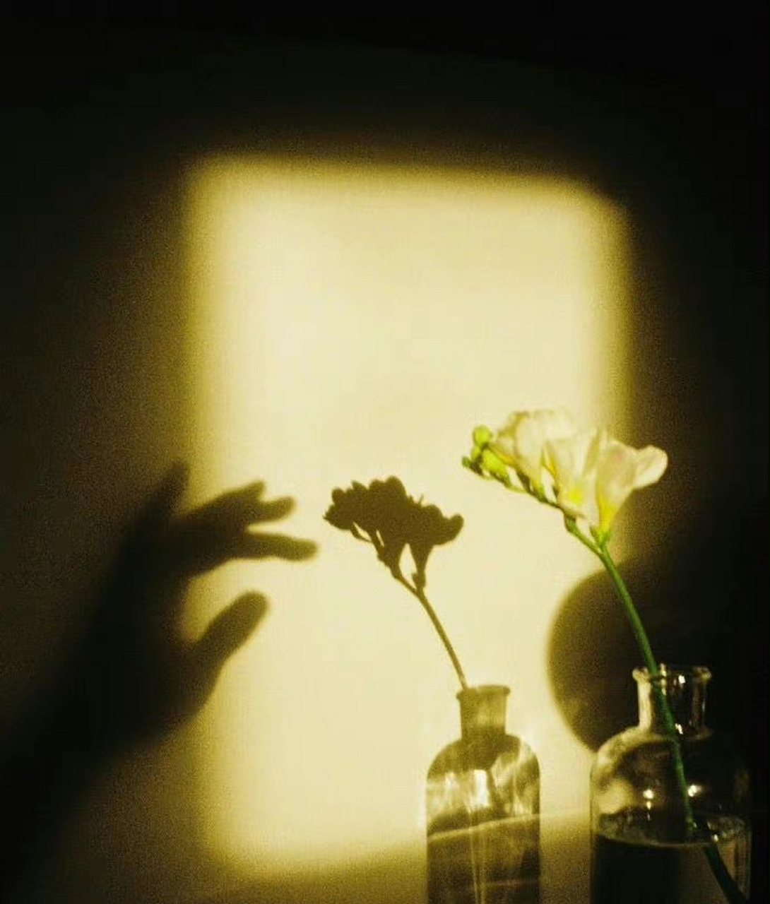 是啊  不顾别人感受 是自私的  太顾别人感受 则是自虐  天平的两端