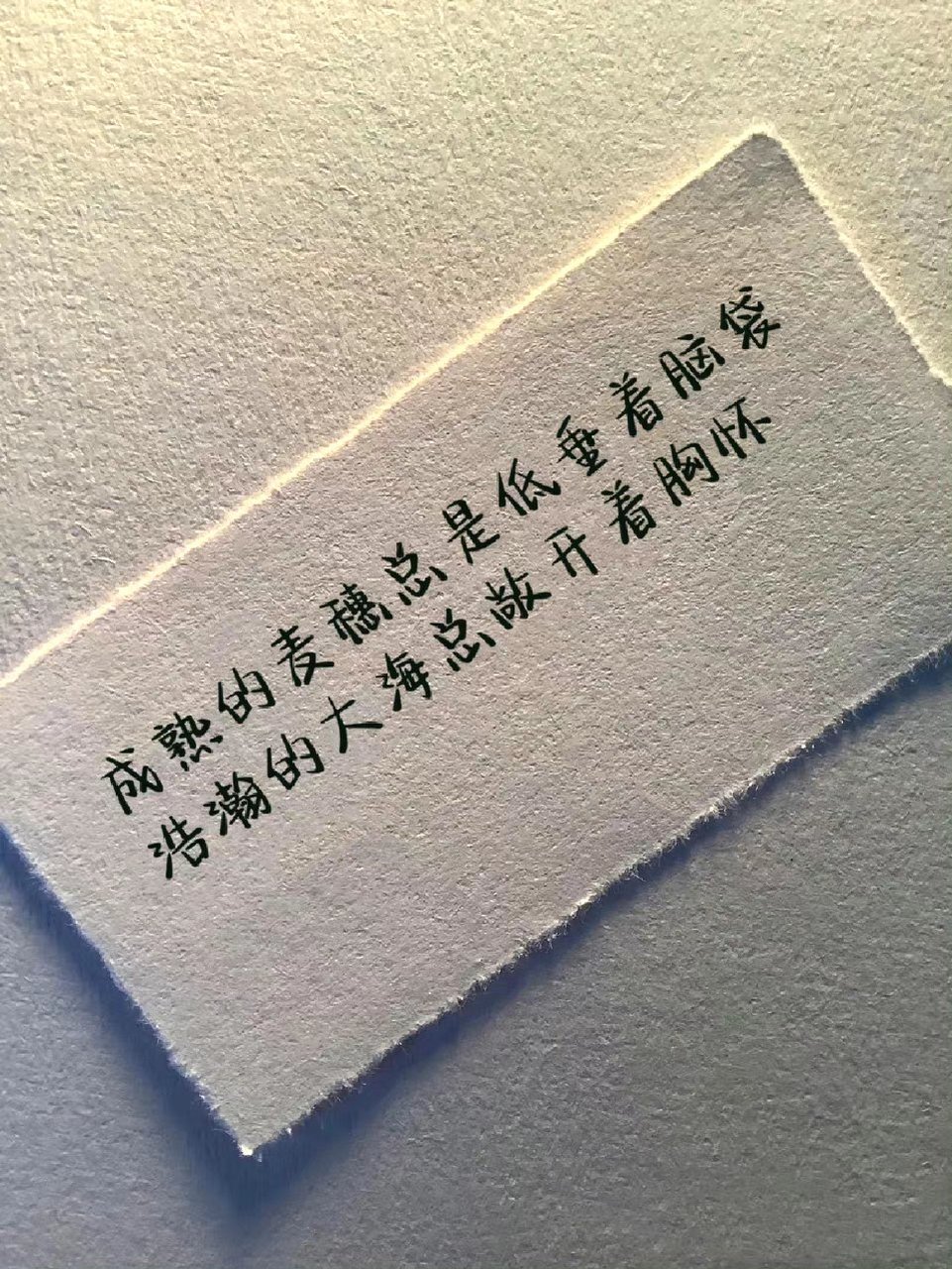 成熟的麦穗懂得低头~ 676767