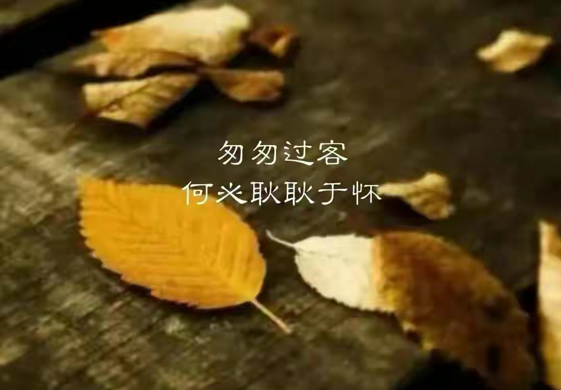 都是人间惆怅客,何必执着不快乐.