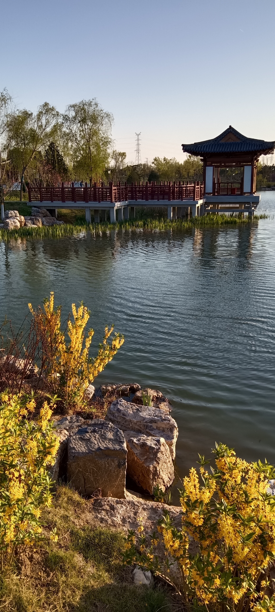 雄安新区悦容公园美景一览