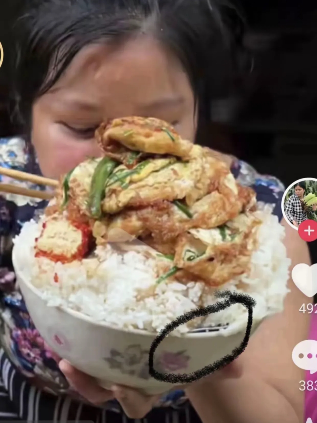 饭碗上边蒙上了一层钢丝网,饭菜是吃播视频大头和珍珍 图片过年杀了一