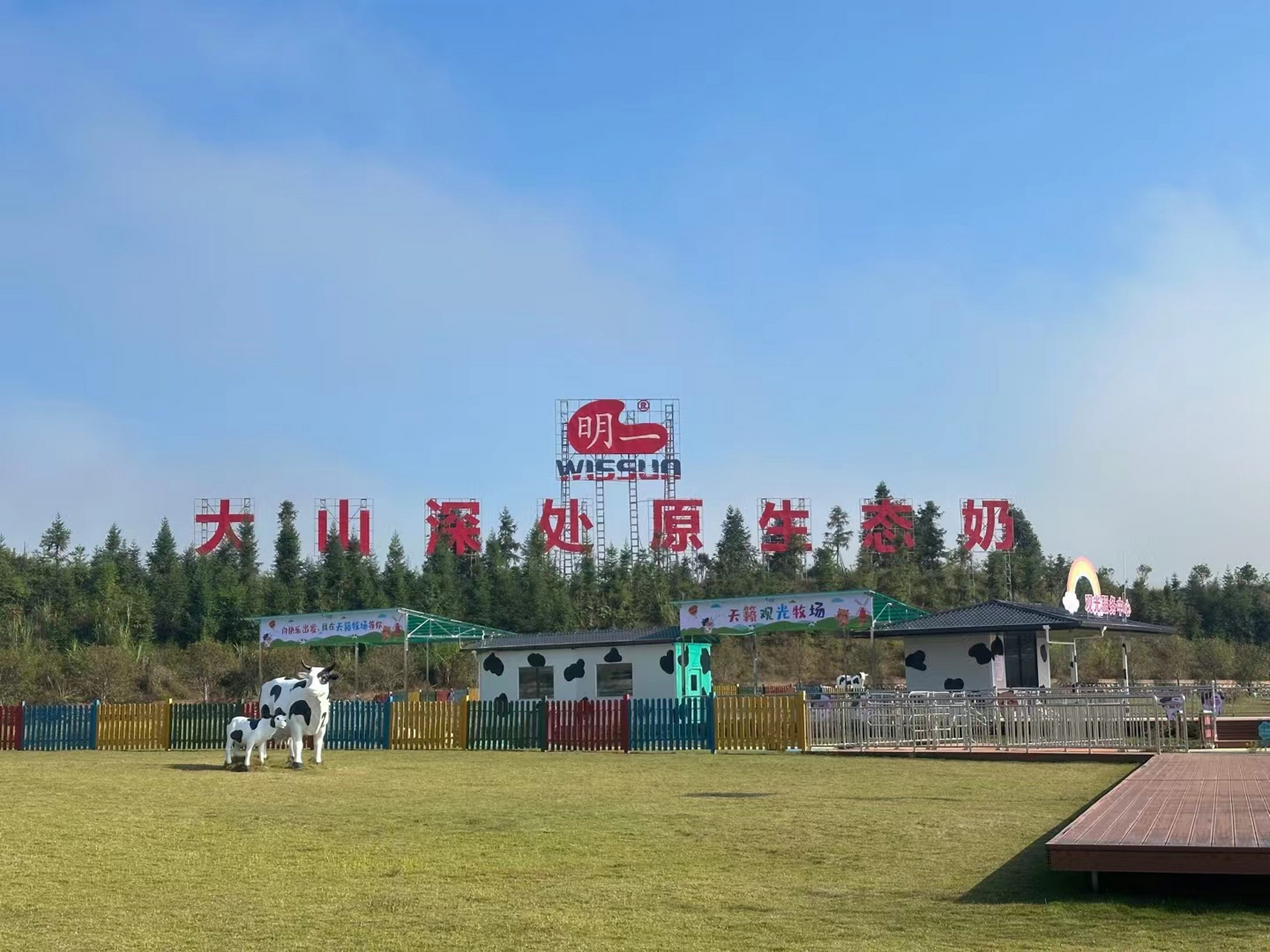 一头大奶牛悠闲地吃着草,旁边还有一头奶牛的雕塑