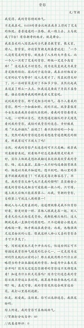 贺朝的作文  《背影》